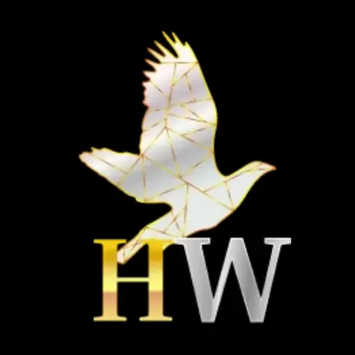 HIBIKIWIN - Menghadapi Ketakutan Dalam Kegelapan